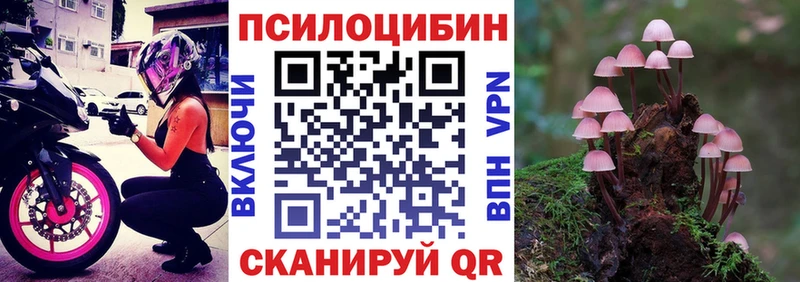 наркошоп  Туапсе  Псилоцибиновые грибы MAGIC MUSHROOMS 
